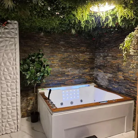 Apartamento Avec Espace Detente Balneotherapie Carcassonne